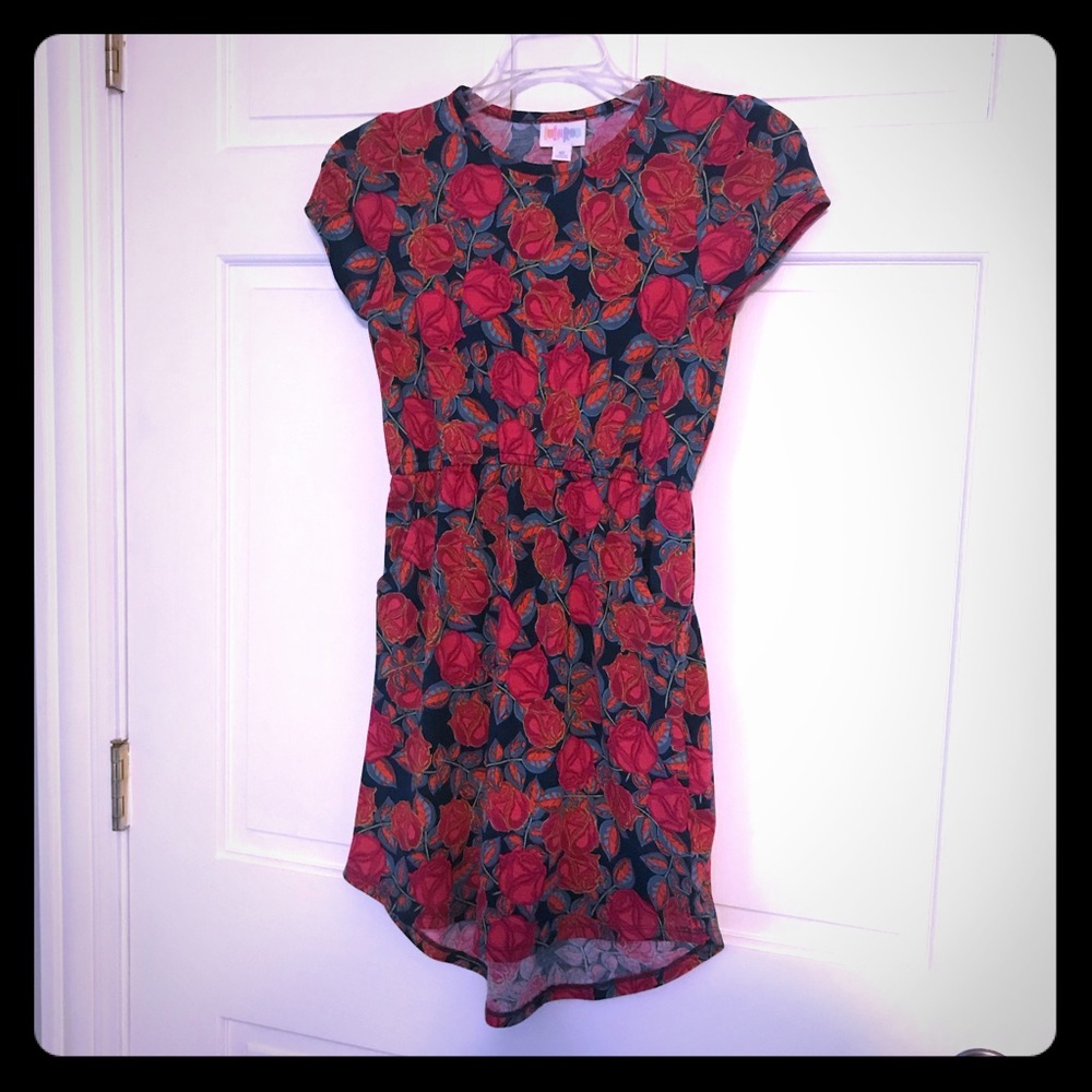 Beautiful floral girls Lularoe Mae dress